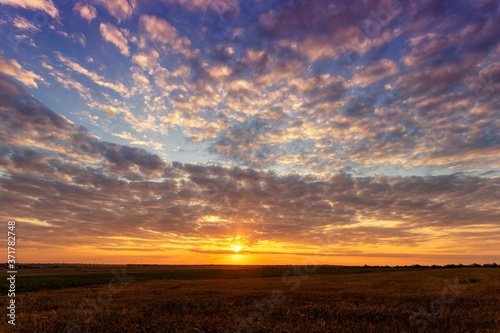 Beautiful sunset, sunrise over the field © pobaralia