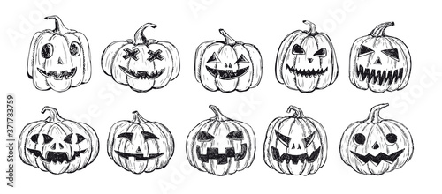 Halloween pumpkin set. Hand drawn illustration. 