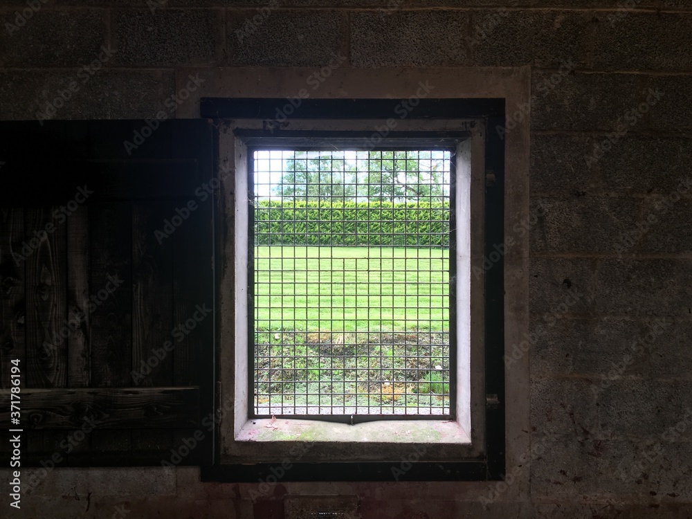 Confined gaze peering through steel grid window