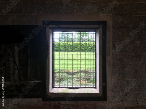 Confined gaze peering through steel grid window