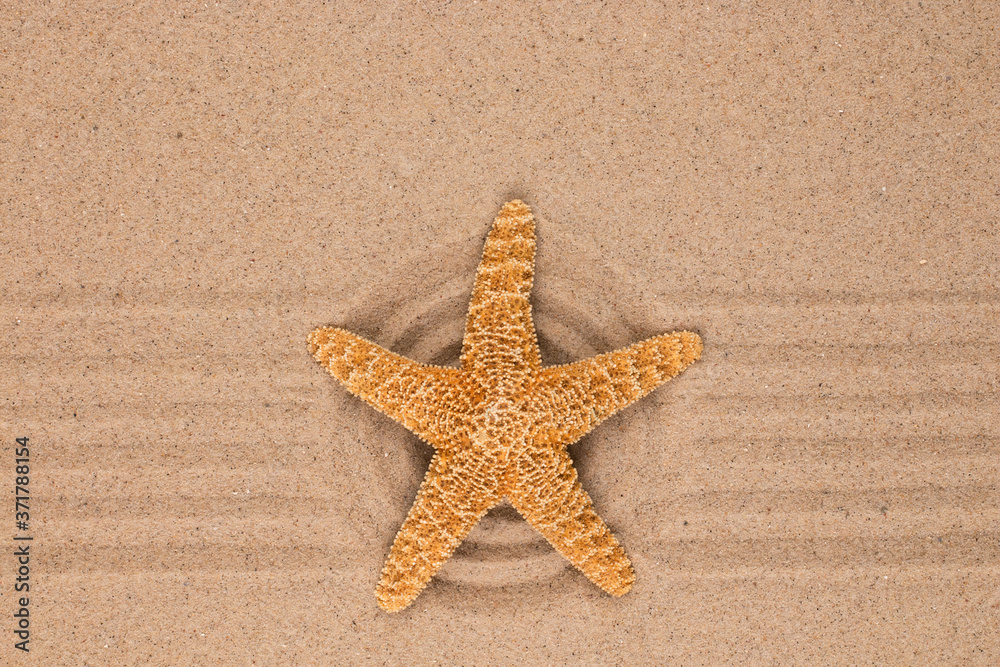 Large yellow star lies in the center of a sandy circle. Large yellow star lies in the center of a sandy circle.