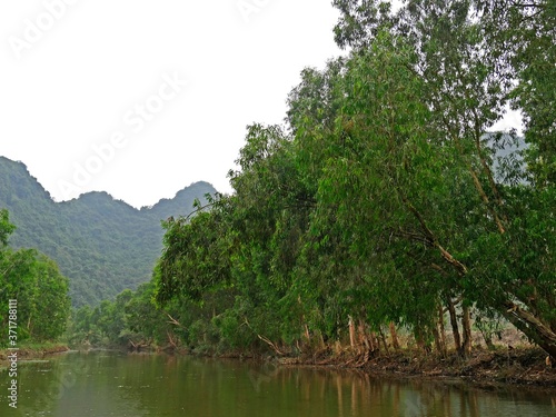 Vietnam  Ninh Binh Area  Hoa Lu  Landscape
