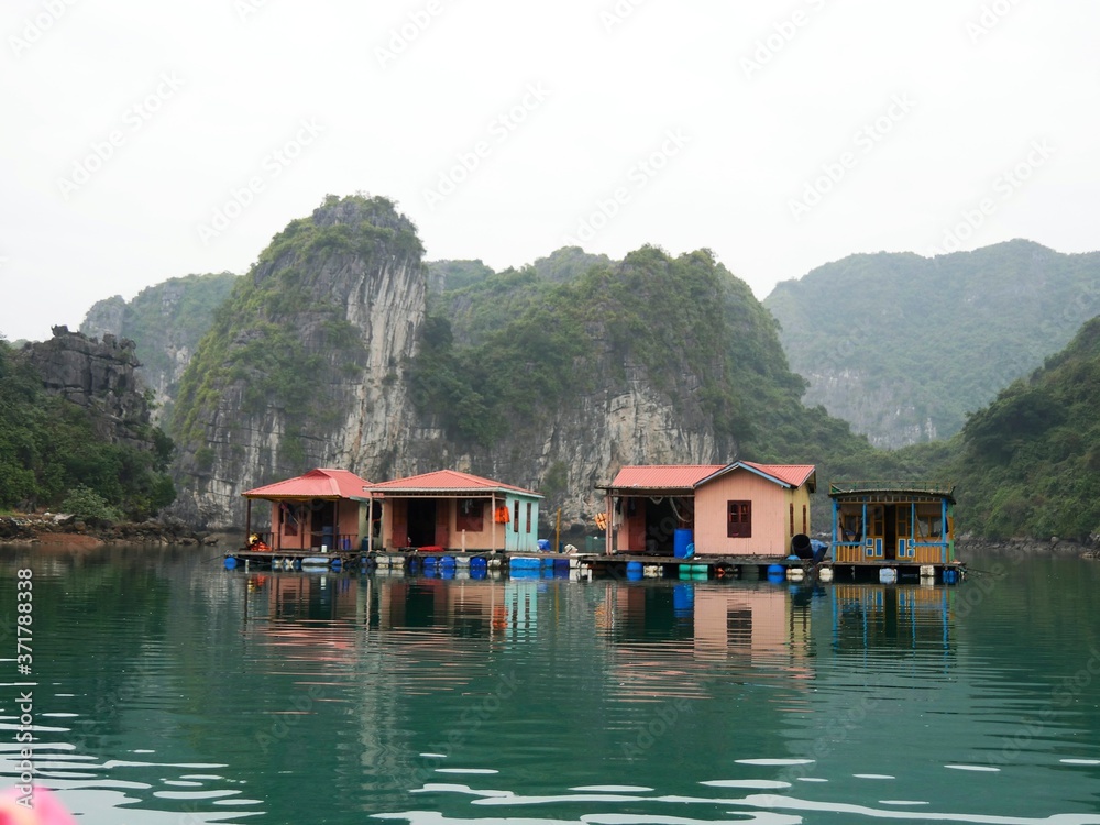 Vietnam, Quang Ninh Area, Halong Bay or Ha Long Bay Unesco World Heritage Site, Vung Vieng Fishing Floating Village