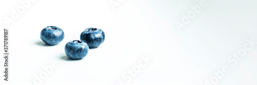 Group of blueberry berry isolated on white background. Selective focus. Copy space.
