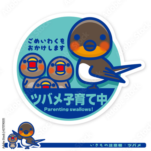 いきもの注意報：ツバメ子育て中サイン