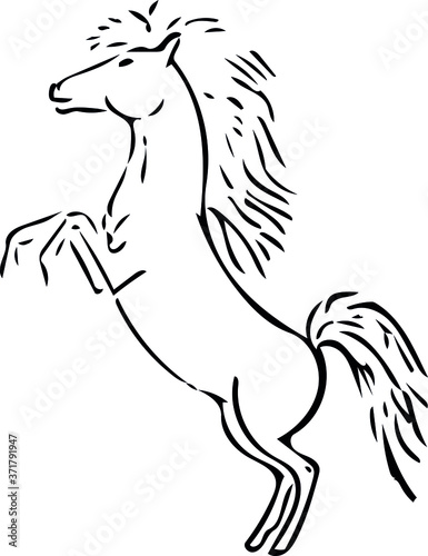 vector image of a horse in different angles