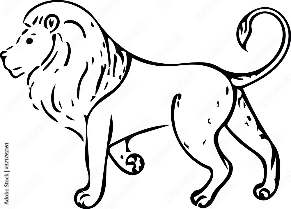 Obraz premium black and white lion