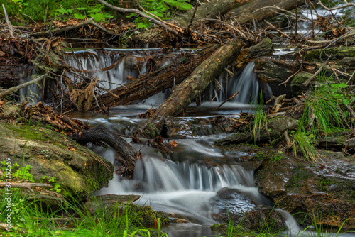 Small waterfall on Divoky creek near Kouty nad Desnou village in summer day