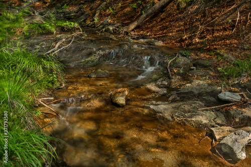 Small waterfall on Divoky creek near Kouty nad Desnou village in summer day