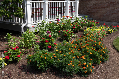 Fototapeta Naklejka Na Ścianę i Meble -  Midwestern Home Garden by a Porch with Colorful Flowers during Summer