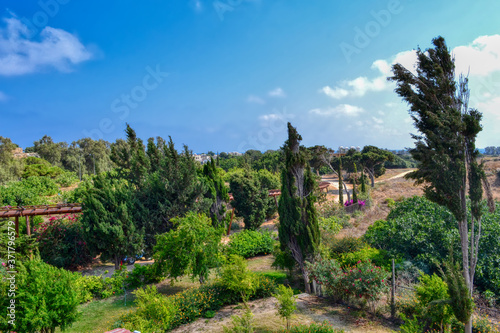 View from the roof of the Mediterranean fields and hills with trees and flowers near the archaeological park of Paphos, Cyprus.  Flowering meadows with lush vegetation on a hot sunny day.