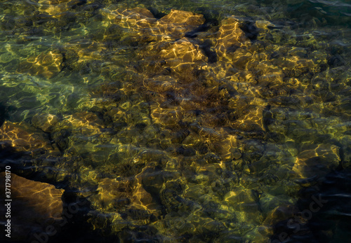 stones are visible through clear water