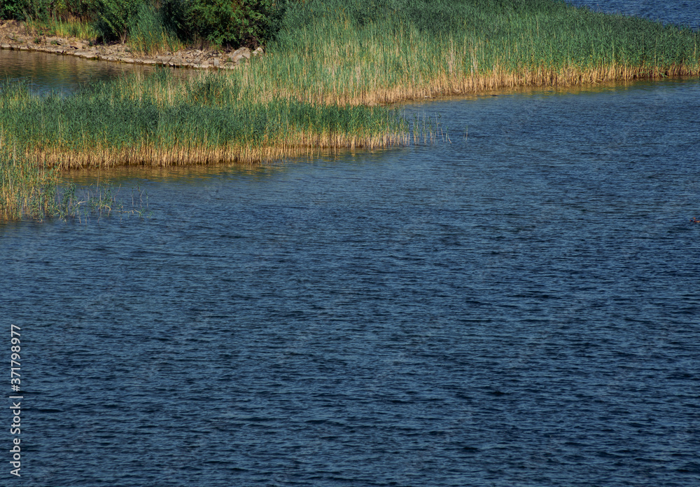 lake with shallows, overgrown with reeds lake with shallows, overgrown with reeds