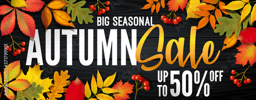 Advertising banner about Autumn Sale at the end of season with bright fall leaves. Invitation for shopping with 50 percent off. Trendy style, dark red background. Vector illustration.
