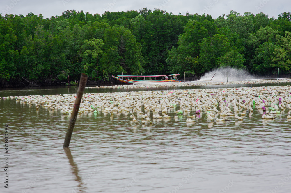 Water splashes from the propellers of a long tail boat. Water splashes from the propellers of a long tail boat.