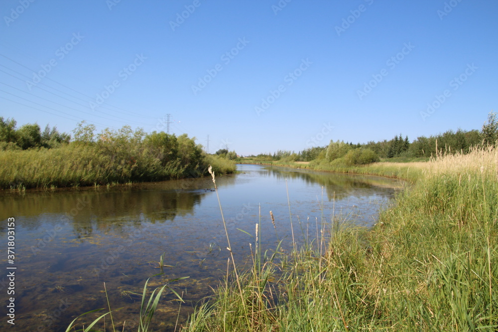 Summer On The Pond, Pylypow Wetlands, Edmonton, Alberta