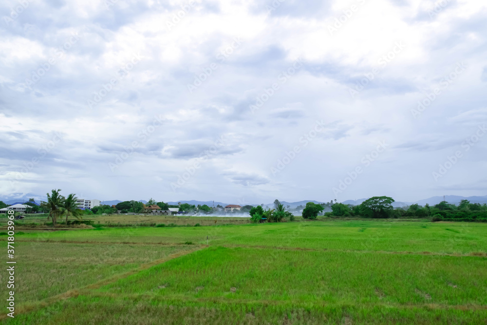 landscape rice field at the outskirt in the north of thailand
