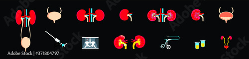 set of urology icon design template with various models. vector illustration