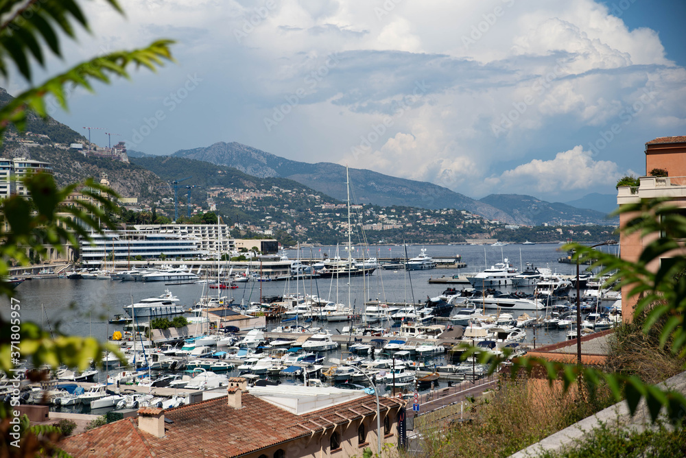 Vue du port de Monaco depuis la nature