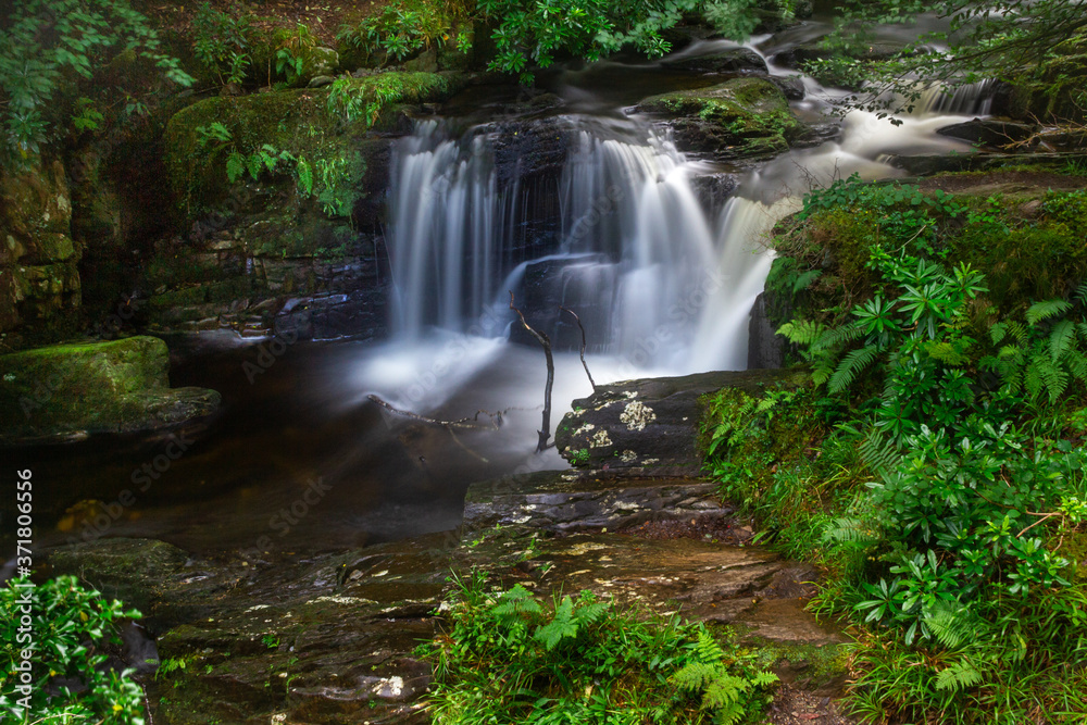 Waterfall in the forest Waterfall in the forest