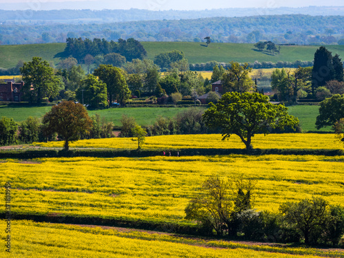 Cotswolds scenery and agricultural landscape England UK