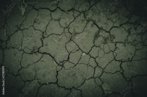 closeup of dry desert like soil with a lot of cracks