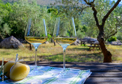 Summer picnic or lunch with tasting of white wine in olive tree groves in Lazio, Italy