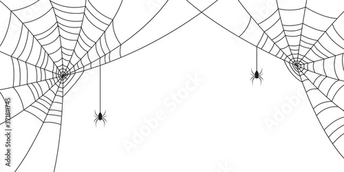 Spiders and web. Background with space for Halloween banner with with spiderweb and spider. Vector illustration.