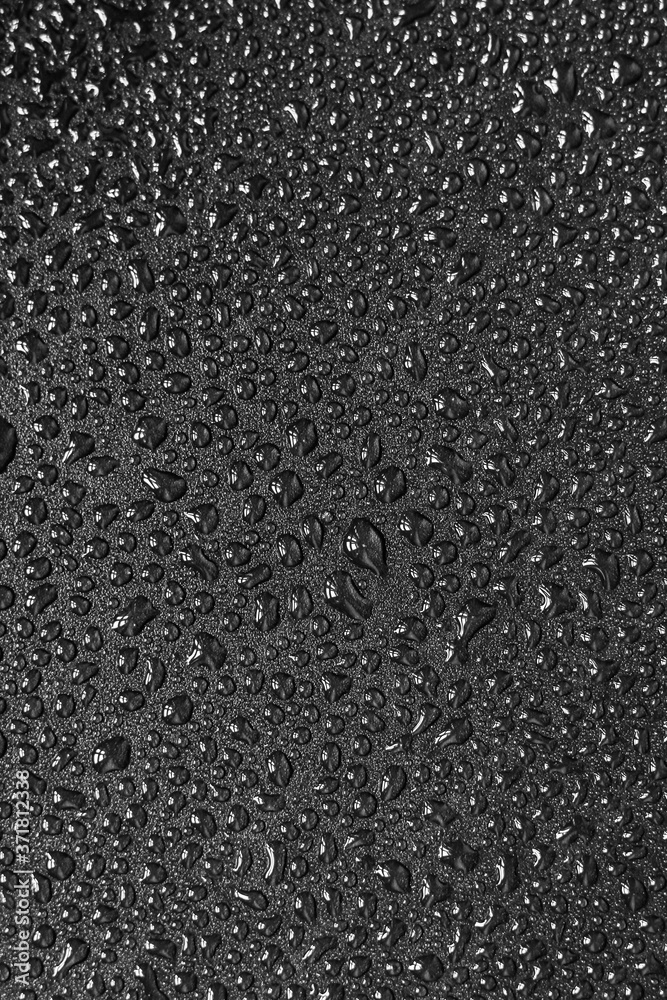 Fototapeta premium Water droplets on black background. Close-up photo of small water drops on black background.