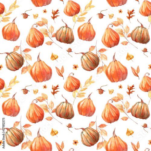 Watercolor pumpkins seamless pattern. Autumn wallpaper with hand painted pumpkins and plants on white background