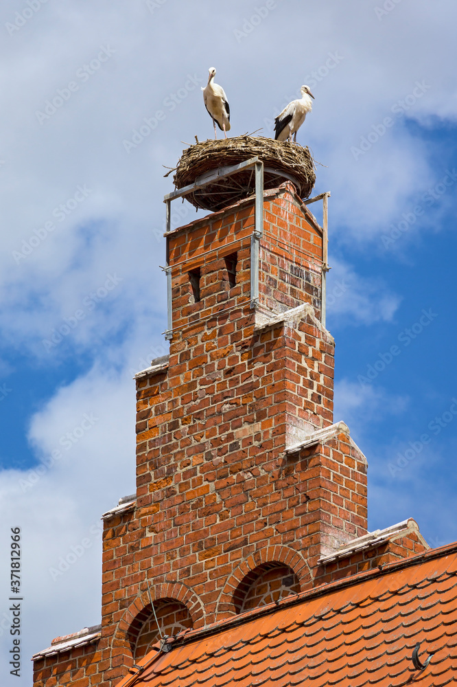 Two storks stand on the top of a red brick tower in the middle of the town of Tangermunde.