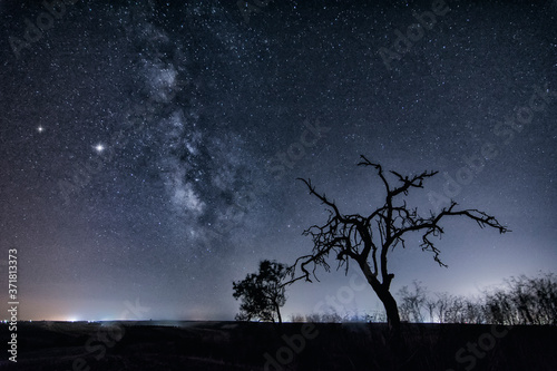 naturaleza muerta con via lactea