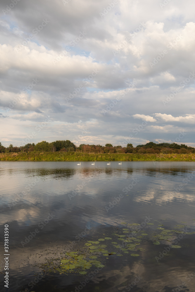 Natur Fluß Maas