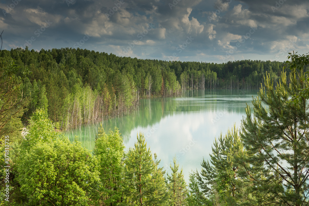 Fototapeta premium forest lake landscape. View of the blue lake forest