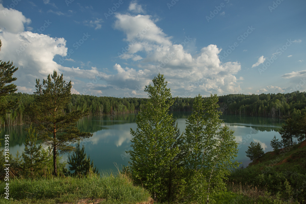 forest lake landscape. View of the blue lake forest