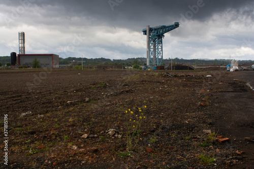 A lone crane on the banks of the Clyde near Glasgow on a sprng morning. photo