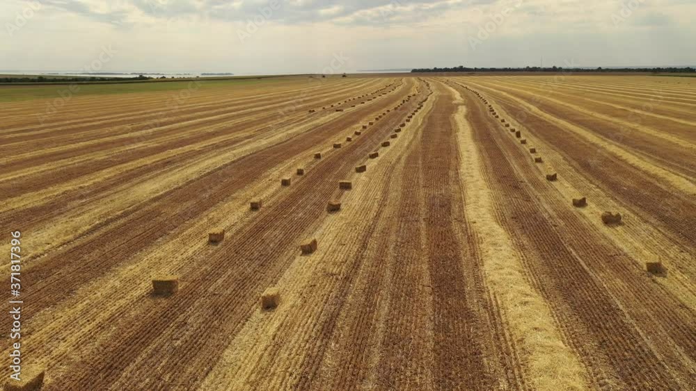 bales of straw in a field taken from a drone bales of straw in a field taken from a drone