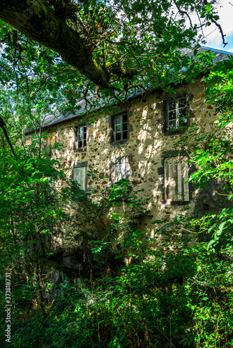 maison ancienne délabrée envahie par la végétation