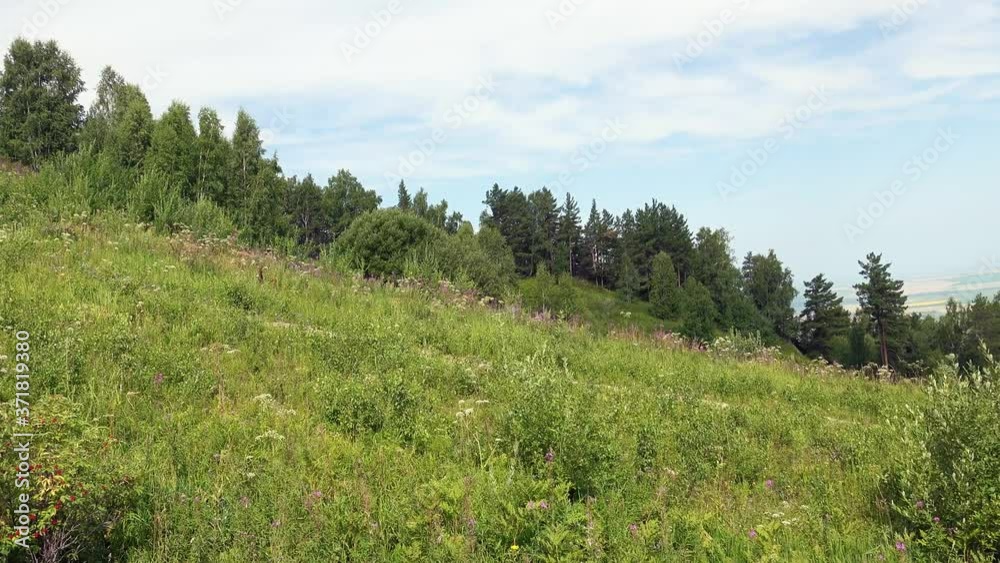 Aerial video of meadow on mount Tserkovka near Altai resort village Belokurikha. Aerial video of meadow on mount Tserkovka near Altai resort village Belokurikha.