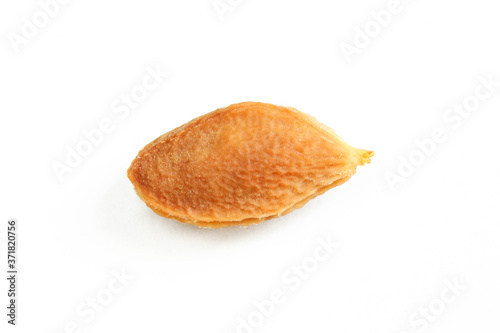 A single plum seed isolated on white background. Bright studio shot