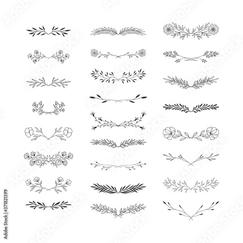 Hand drawn floral dividers. Vector nature frame elements. 