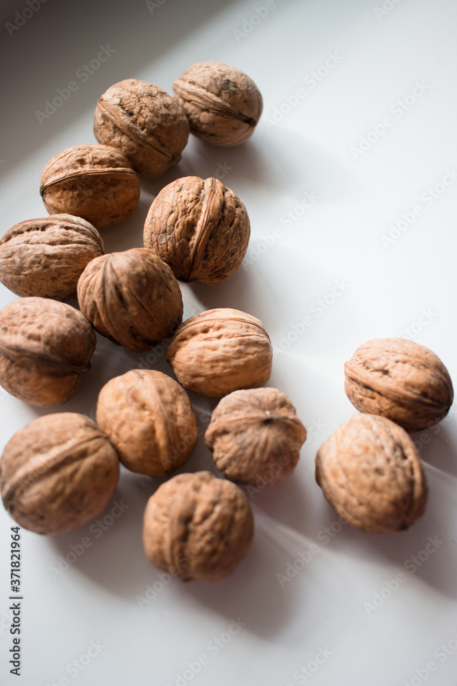 walnuts on a white background in natural sunlight walnuts on a white background in natural sunlight