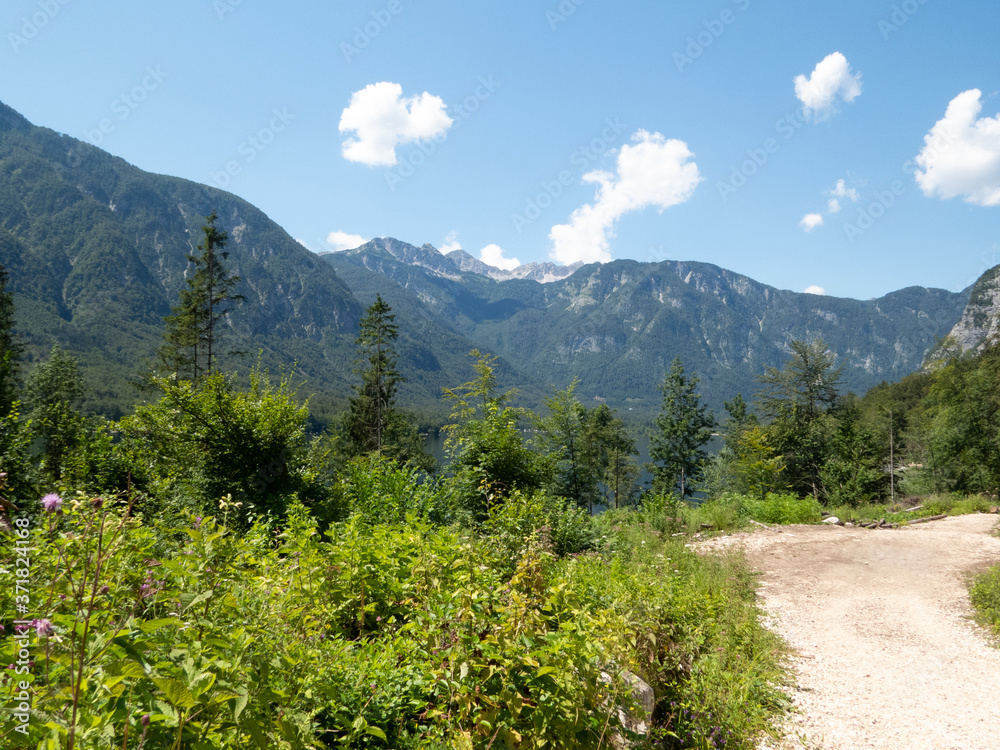 Hiking path running along right sight with view of mountains, forest and blue with clouds to the left Hiking path running along right sight with view of mountains, forest and blue with clouds to the left