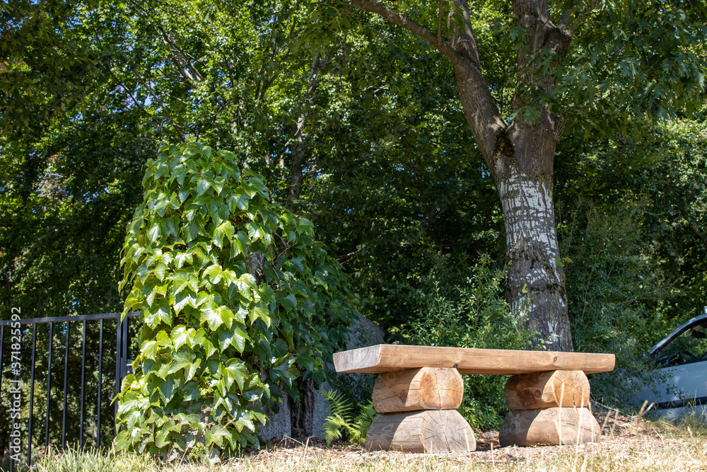 Fototapeta premium Banc arbre 