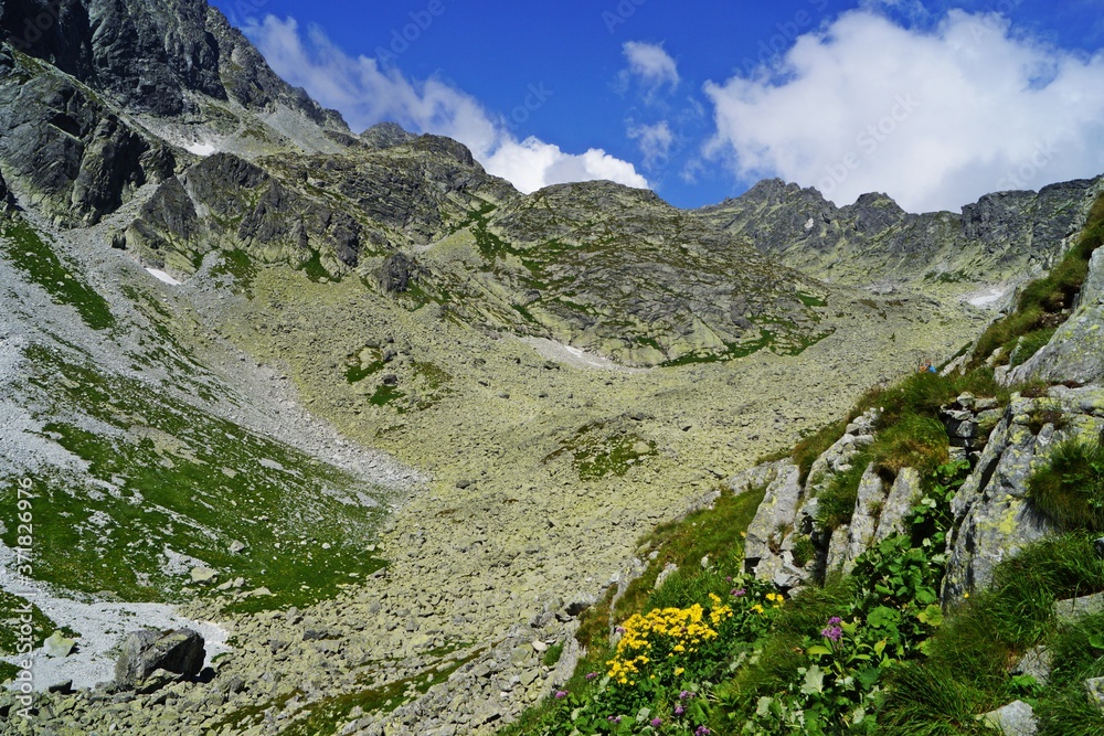 Fototapeta premium Velicka Valley in the high mountains