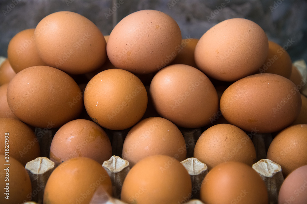 Poultry farm. Modern farming. Fresh brown eggs on a transportation line Poultry farm. Modern farming. Fresh brown eggs on a transportation line