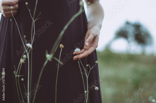 Hand gently holding a flower