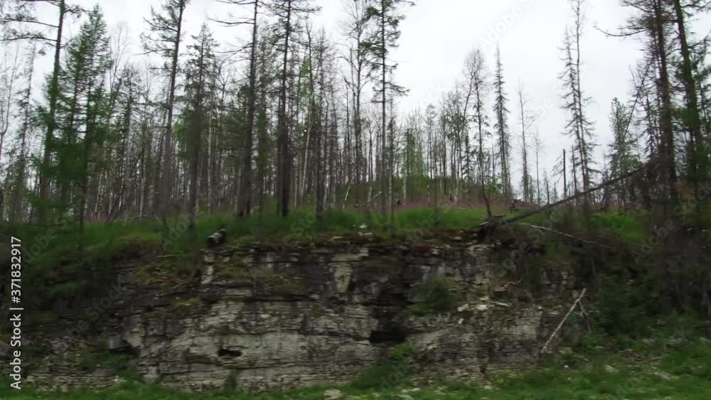 Landscape Nature Taiga Forest Rain Clouds. POV Landscape Nature Taiga Forest Rain Clouds. POV