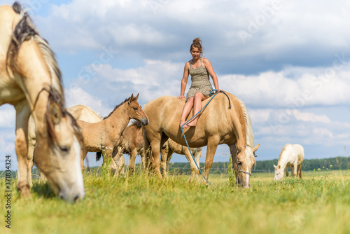 The girl is sitting on a horse. Photographed in a meadow in summer.