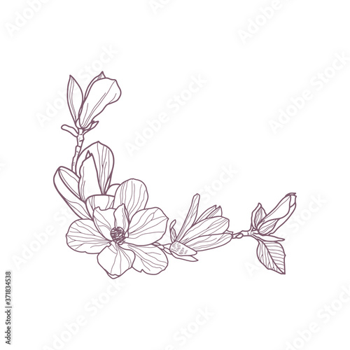 Premade arrangement magnolia flowers. Hand drawn magnolia for greeting card